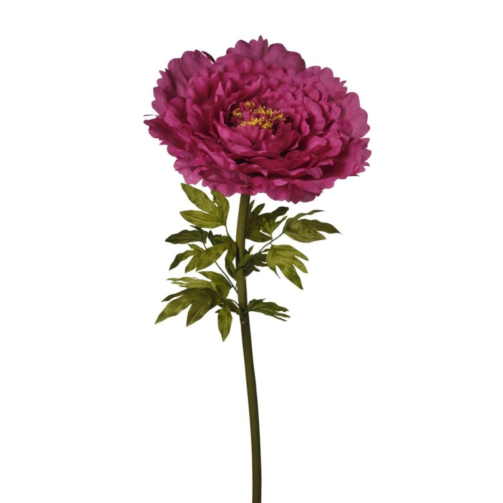 RAMO PEONIA XXXL CM170 FUXIA